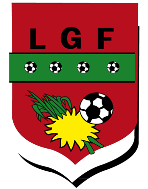 Ligue-football-guadeloupe300x384